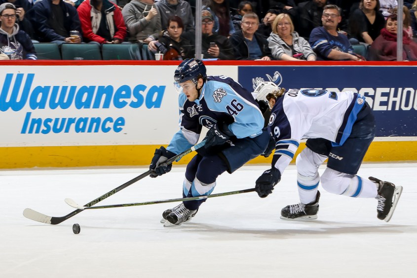 (Photo Credit: Manitoba Moose // flickr)