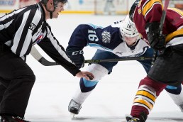 (Photo Credit: Scott Paulus)