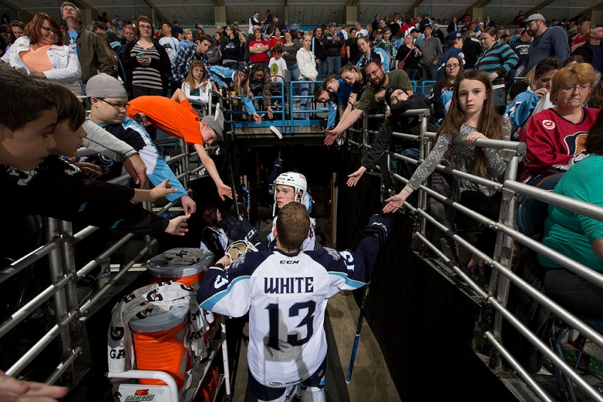 (Photo Credit: Scott Paulus)