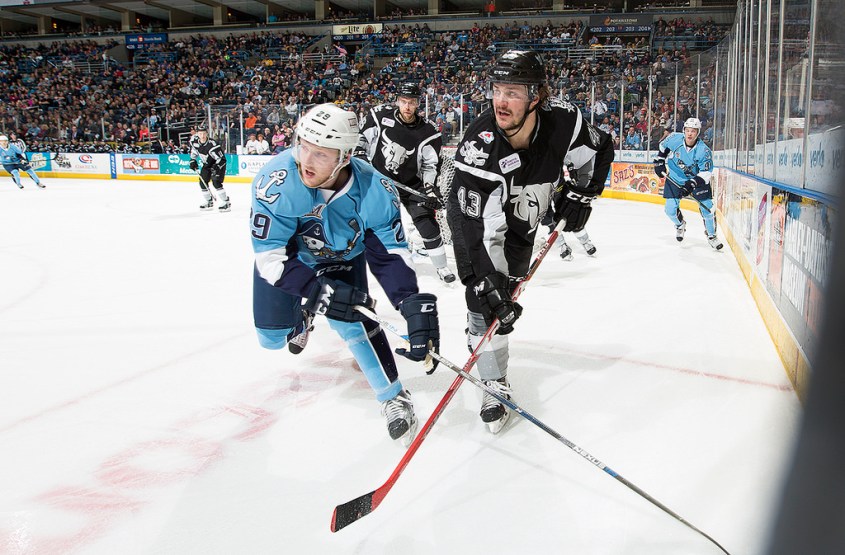 (Photo Credit: Scott Paulus)