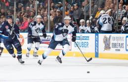 (Photo Credit: Scott Paulus)