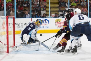 (Photo Credit: Sara Stathas)