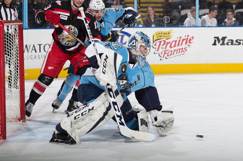 (Photo Credit: Scott Paulus)