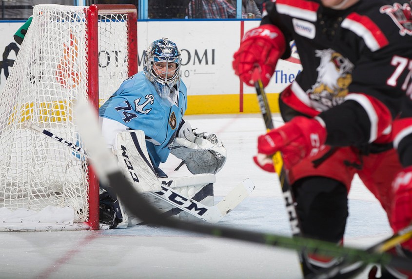 (Photo Credit: Scott Paulus)