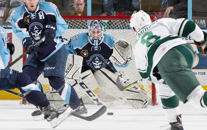 (Photo Credit: Scott Paulus)