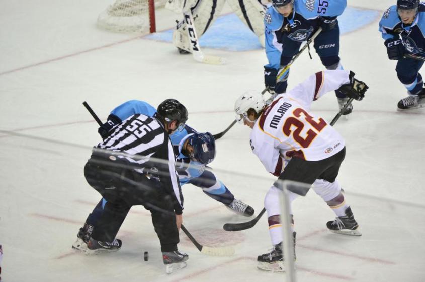 (Photo Credit: John Saraya)