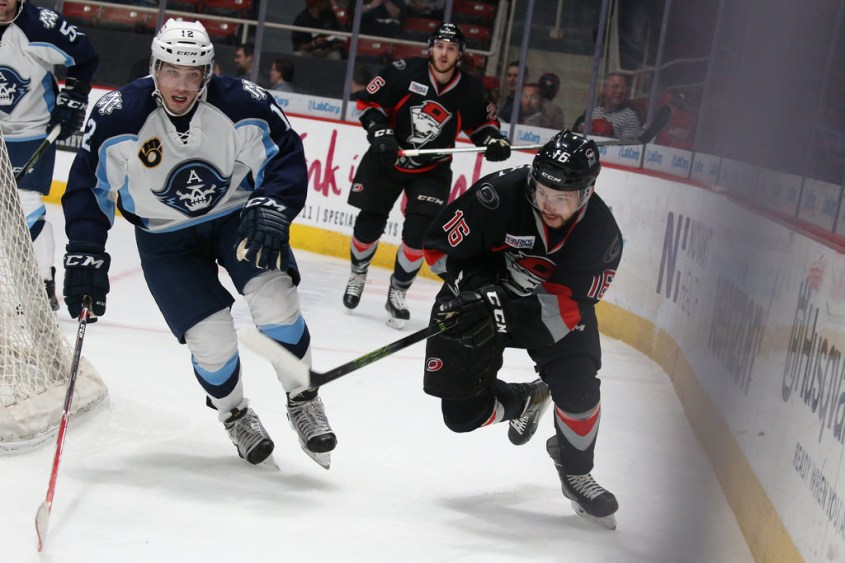 (Photo Credit: Charlotte Checkers // flickr)