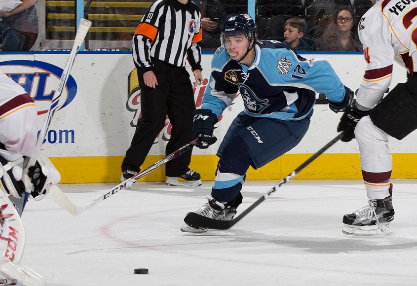 (Photo Credit: Scott Paulus)