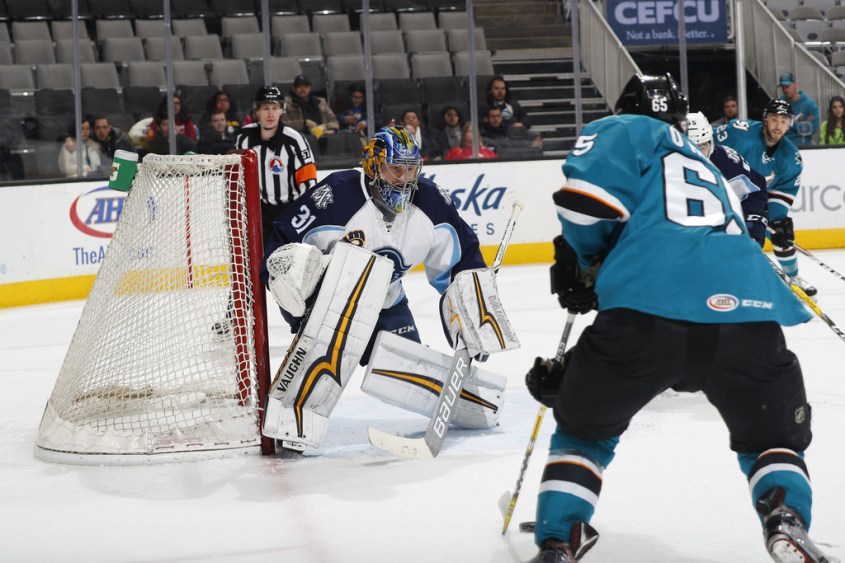 (Photo Credit: San Jose Barracuda)