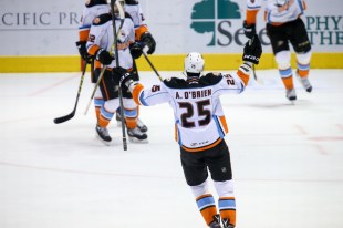(Photo Credit: San Diego Gulls // flickr)