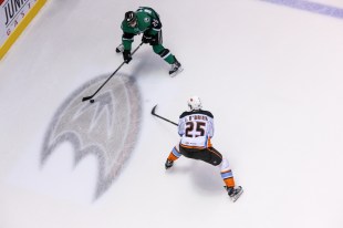 (Photo Credit: San Diego Gulls // flickr)