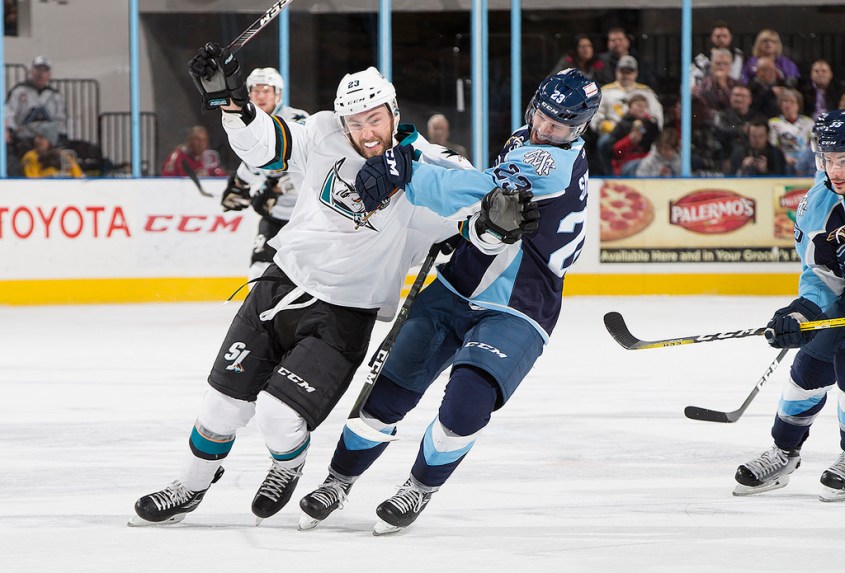 (Photo Credit: Scott Paulus)