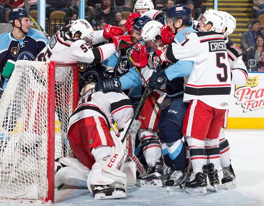 (Photo Credit: Scott Paulus)